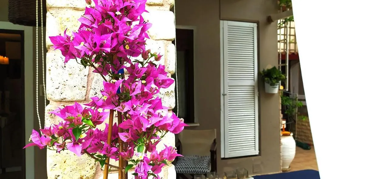 The Seaside Villas Nikiti  Nikiti (Sithonia)